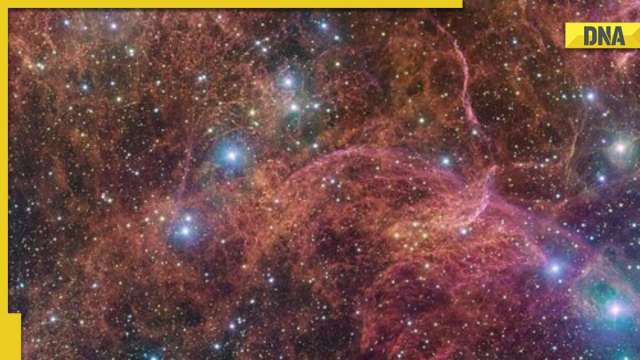 Astronomers spot ghostly images of star that 'died' 11,000 years ago - Vimarsana News