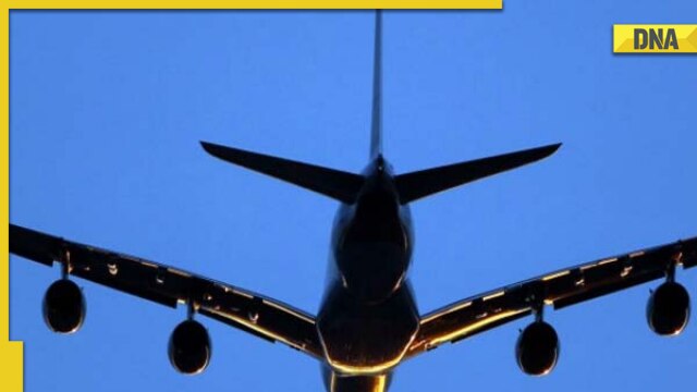 Plane passenger flashes, urinates on Bali to Brisbane flight - Vimarsana News