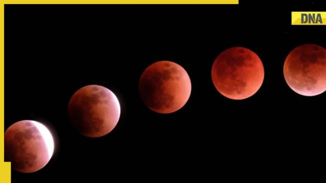 Lunar Eclipse on November 8: NASA explains reason behind red color of 'Blood Moon' - Vimarsana News