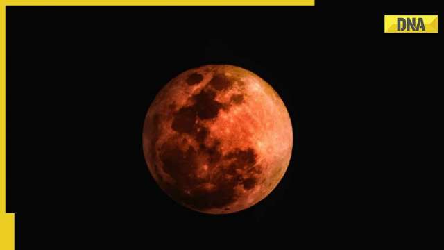 Total lunar eclipse on November 8: How is it different from partial and solar lunar eclipses? - Vimarsana News