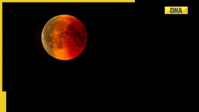Chandra Grahan 2022: Partial lunar eclipse in Delhi-NCR on November 8, check timings here - Vimarsana News