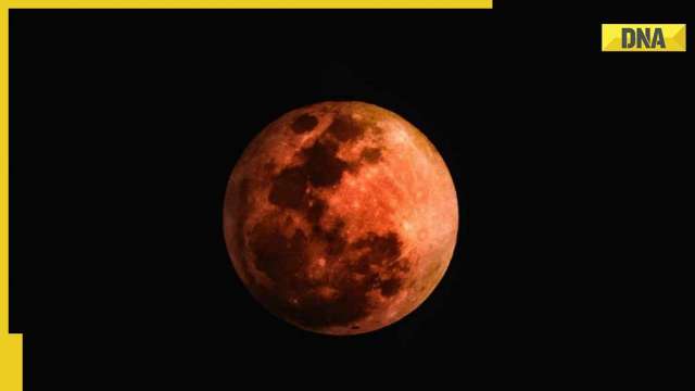Lunar Eclipse 2022: Why rare spectacle is called 'Beaver blood moon'? Know here - Vimarsana News