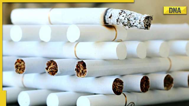 Guwahati: Foreign-origin cigarettes worth 99.68 lakhs were confiscated via couriers - Vimarsana News