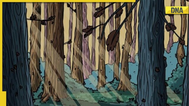 Optical Illusion: Spot the owl hidden inside the forest within 12 seconds - Vimarsana News