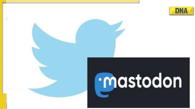 After Twitter takeover, users moving to THIS alternative app - Vimarsana News