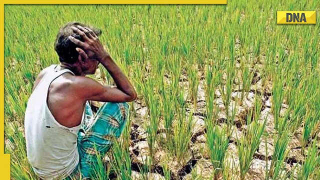 PM Kisan Samman Nidhi: 11th instalment of funding has fallen by 67%, says reports - Vimarsana News