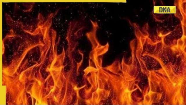 Odisha: More than 30 injured during fireworks competition in Kendrapara - Vimarsana News