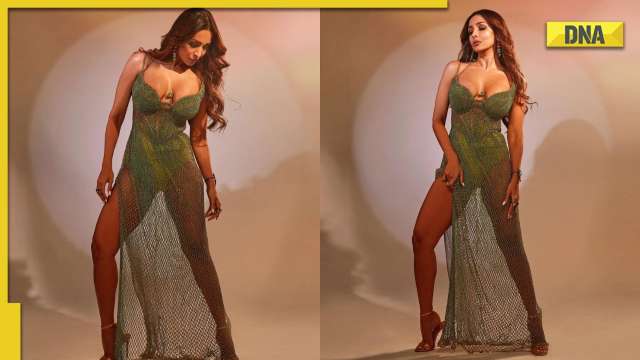 Malaika Arora Sex - In Pics: Malaika Arora makes internet sweat with her sizzling photos in  deep-neck dress