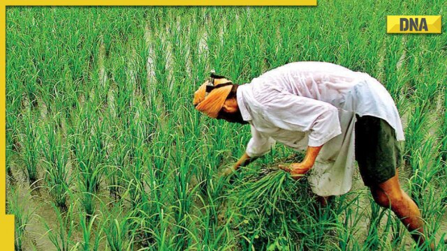 PM Kisan Samman Nidhi Yojana: Know the benefits, charges for eKYC - Vimarsana News