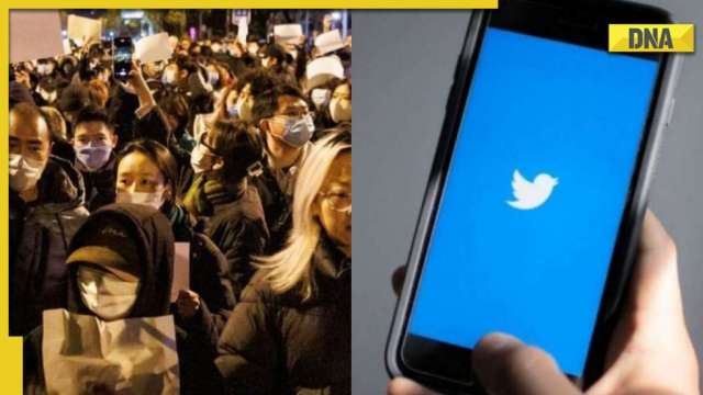 Porn, spam, casino content blot out posts about China protests on Twitter - Vimarsana News