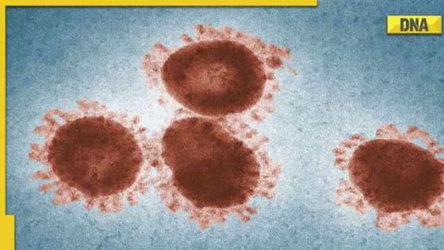 What is Zombie virus that was revived after 50,000 years? - Vimarsana News