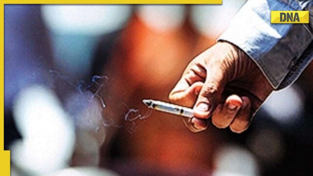 Government may stop sale of loose cigarettes, here's why - Vimarsana News
