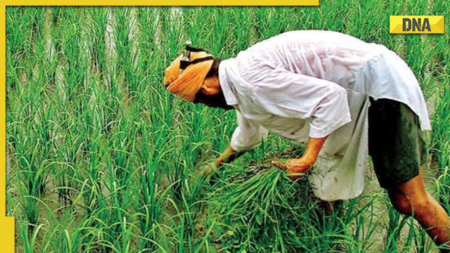 PM Kisan Samman Nidhi Yojana: Farmers of THIS state may not receive 13th installment, know why - Vimarsana News