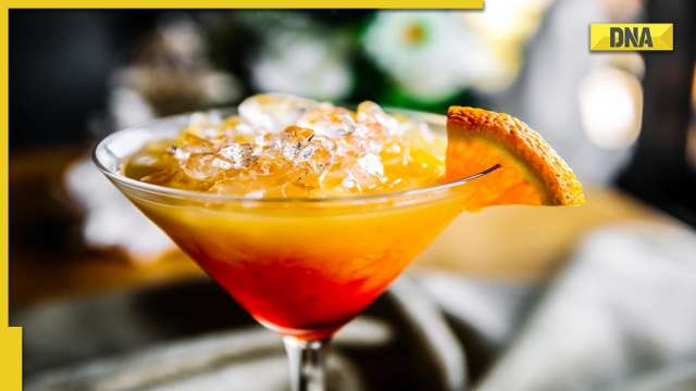 Sex on the beach: Know why this cocktail was most searched on Google in 2022 - Vimarsana News