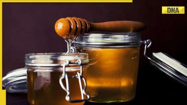 Why you should add honey to your diet? know benefits of this superfood - Vimarsana News