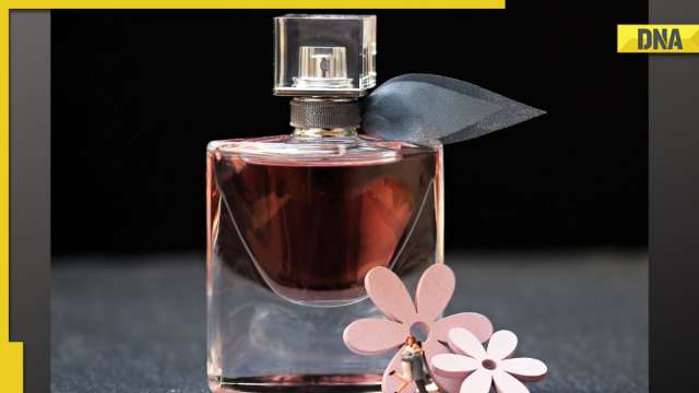 SHOCKING! Human urine found in fake designer perfumes, investigation launched - Vimarsana News