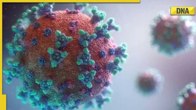 Explained: What is virus and where did it originate? Why is coronavirus still strong after 3 years? - Vimarsana News