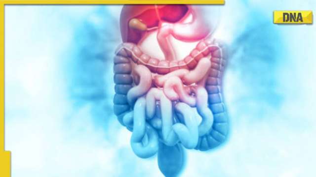 5 ways you might be hindering your gut healing journey - Vimarsana News