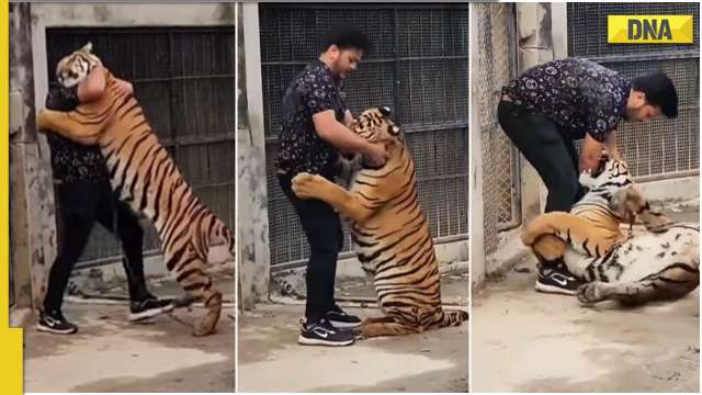 Cute or stupid? Boy hugs tiger, internet reacts to viral video