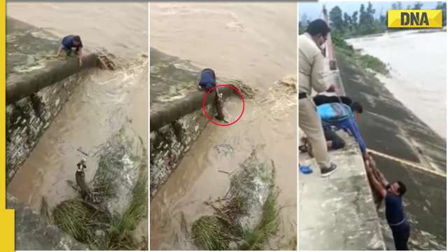 Viral video: Man risks life to save dog from drowning, internet calls ...