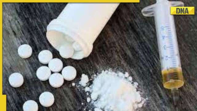 Lethal convergence of narco-traffickers and narco-terrorists on Indian borders - Vimarsana News