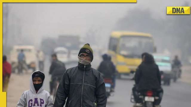 IMD Weather Update: Cold wave, dense fog predicted in Delhi, Punjab, Haryana, Chandigarh till Jan 7 - Vimarsana News