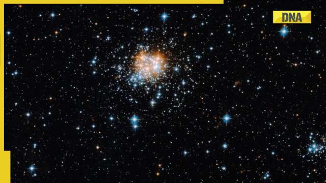 NASA: Hubble space telescope captures a stunning cluster of 1,100 stars - Vimarsana News