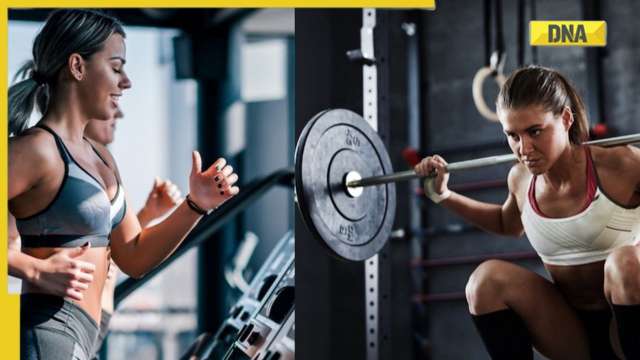 Cardio vs weight lifting training: which is better for your fitness goals? - Vimarsana News