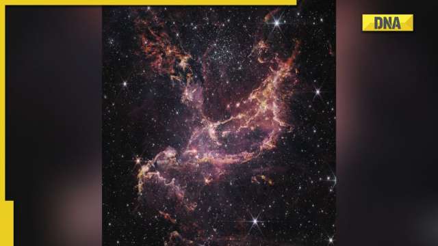 NASA: James Webb Space Telescope discovers star formation in Cluster's Dusty Ribbon - Vimarsana News