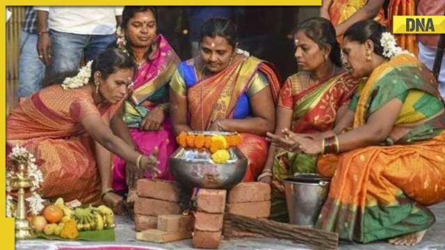 What is Pongal? History, significance, date - Vimarsana News