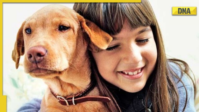 Dog owners to pay tax for 'security and cleanliness' in Sagar, Madhya Pradesh soon - Vimarsana News