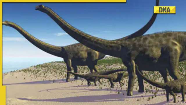 One of the world's largest dinosaur treasure troves discovered in India - Vimarsana News