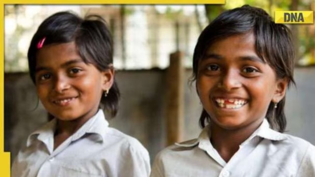 LIC Kanyadan Policy to Sukanya Samriddhi Yojana: Know government schemes, investment options for girl child - Vimarsana News