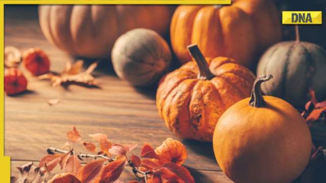 Unveiling hidden health benefits of Pumpkin: From vision, immune system and more - Vimarsana News