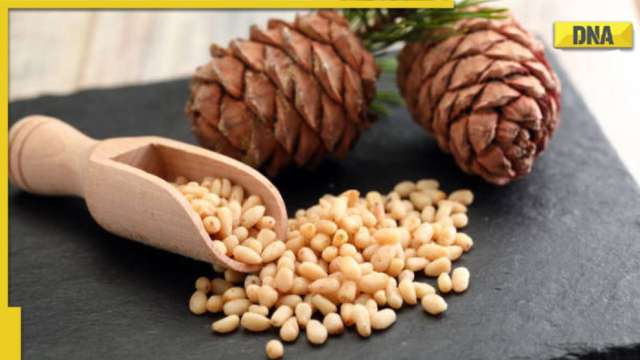 Uncover nutritional power of pine nuts: From heart health to weight management and more - Vimarsana News