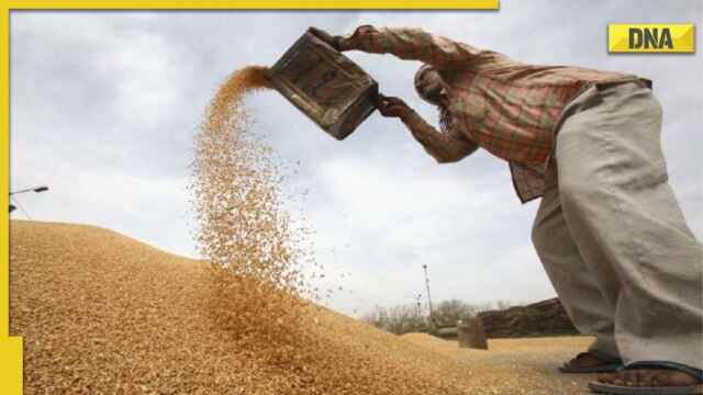 Wheat Price: Government to lower wheat prices soon with THIS new plan - Vimarsana News