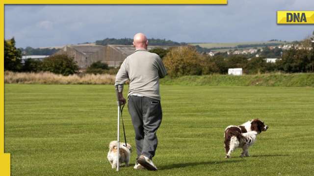 Man left full-time teaching job to be a dog walker, now earns nearly Rs 1 crore - Vimarsana News