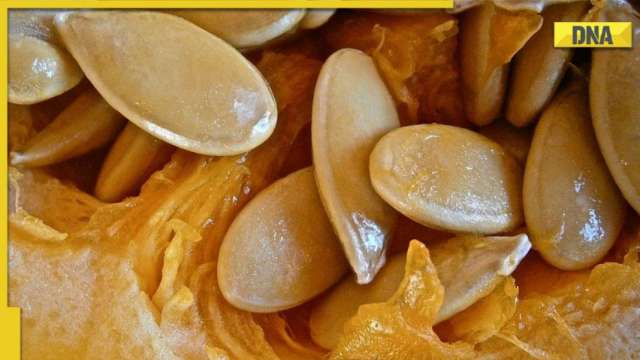 5 surprising health benefits of pumpkin seeds: Power-packed with nutrients, antioxidants and more - Vimarsana News