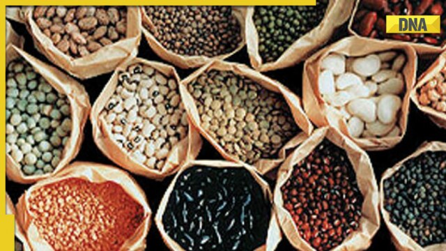 World Pulses Day 2023: History and significance; health benefits of including pulses in diet - Vimarsana News