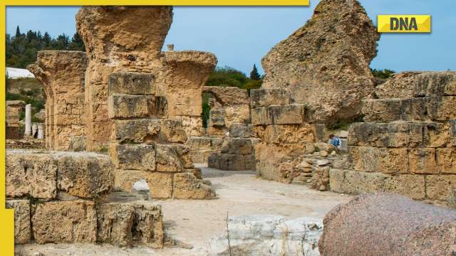 DNA Special: The curious case of ASI's 'missing' monuments - Vimarsana News