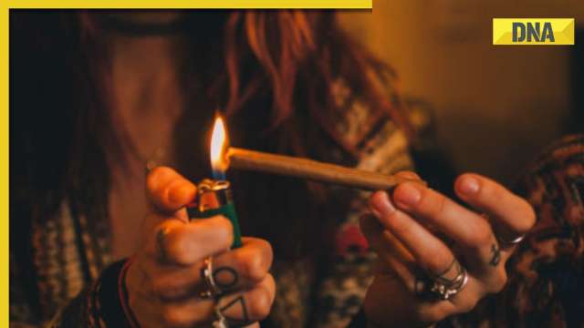 'Most intoxicating job': Company hiring weed smokers, offering whopping salary of Rs 87 lakh, know why - Vimarsana News