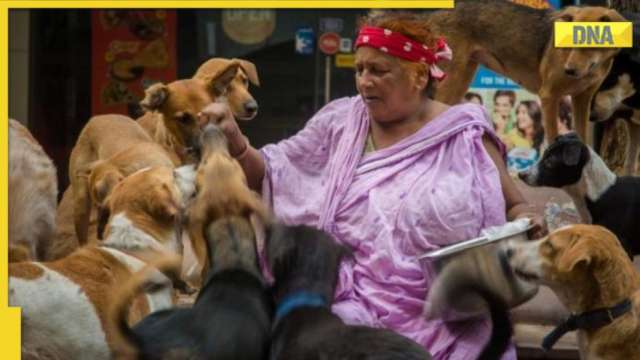 Meet Pratima Devi, Delhi's beloved 'Dog Amma', 80-year-old woman who takes care of over 200 stray dogs - Vimarsana News