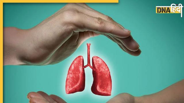 Ayurvedic Treatments Of Lung Problems