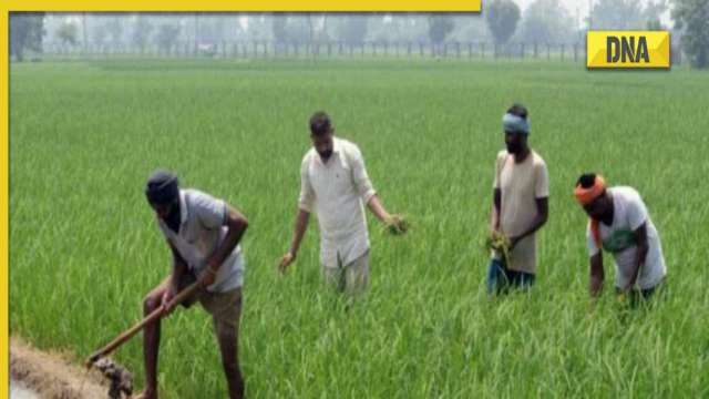 PM Kisan Yojana: UP government transfers money to farmers, reveals amount in UP Budget - Vimarsana News
