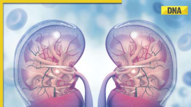 Chronic kidney disease: 6 signs that your kidney is in danger - Vimarsana News