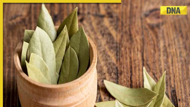 Tej Patta: 5 health benefits of bay leaves - Vimarsana News