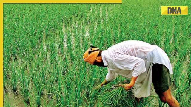 PM Modi to release 13th instalment of PM-Kisan fund today, details inside - Vimarsana News
