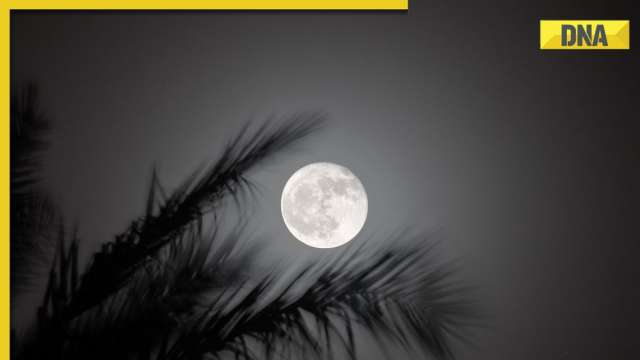 Holi Full Moon: 'Falgun Purnima' to 'Worm Moon', know names, significance in different cultures - Vimarsana News