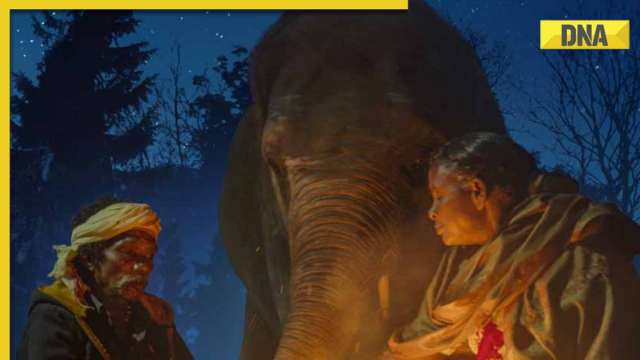 When and where you can watch The Elephant Whisperers, first Indian film to win at Oscars? - Vimarsana News