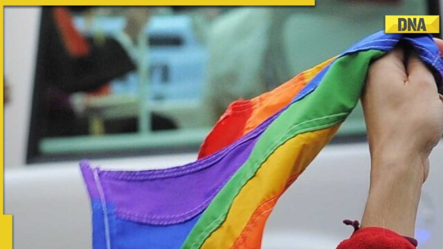 What next for same sex marriage plea in India? Know what Supreme Court said on gay marriage laws - Vimarsana News